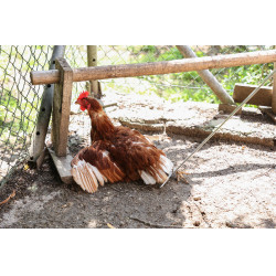 Crochet Kerbl Hobbyfarming Crochet Kerbl Hobbyfarming