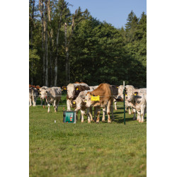 Duo Power Xi 8000 smart AKO Vert