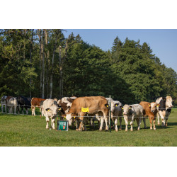 Duo Power Xi 8000 smart AKO Vert