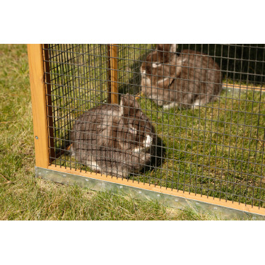 Enclos Appartement Pro Kerbl Hobbyfarming Enclos Appartement Pro Kerbl Hobbyfarming