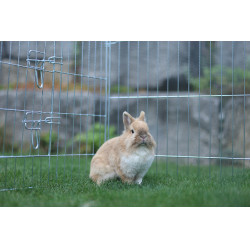 Enclos d’extérieur Kerbl Hobbyfarming Enclos d’extérieur Kerbl Hobbyfarming