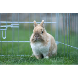 Enclos d’extérieur Kerbl Hobbyfarming Enclos d’extérieur Kerbl Hobbyfarming