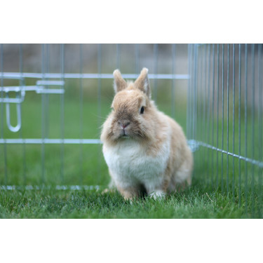 Enclos d’extérieur Kerbl Hobbyfarming Enclos d’extérieur Kerbl Hobbyfarming