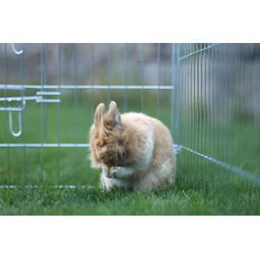 Enclos d’extérieur Kerbl Hobbyfarming Enclos d’extérieur Kerbl Hobbyfarming