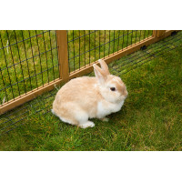 Enclos d’extérieur avec dispositif antifugue Kerbl Hobbyfarming Enclos d’extérieur avec dispositif antifugue Kerbl Hobbyfarming