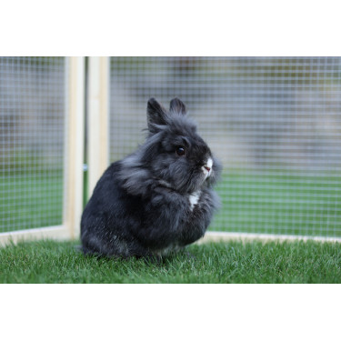 Enclos d’extérieur Vario Kerbl Hobbyfarming Enclos d’extérieur Vario Kerbl Hobbyfarming