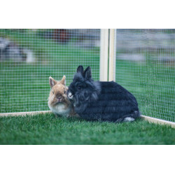 Enclos d’extérieur Vario Kerbl Hobbyfarming Enclos d’extérieur Vario Kerbl Hobbyfarming