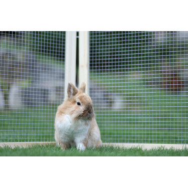 Enclos d’extérieur Vario Kerbl Hobbyfarming Enclos d’extérieur Vario Kerbl Hobbyfarming