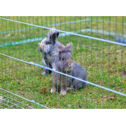 Extension d’enclos avec dispositif anti-fugue Kerbl Hobbyfarming Extension d’enclos avec dispositif anti-fugue Kerbl Hobbyfarming