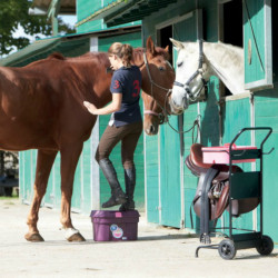 Coffret Box Colors XL La Gee Coffret Box Colors XL La Gee