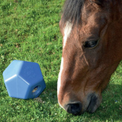 Jouet Drop Feeder La Gee bleu avec cheval