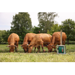 Fil de clôture PlatinumLine AKO Blanc / bleu Fil de clôture PlatinumLine AKO Blanc / bleu