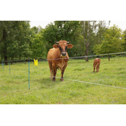 PlatinumLine AKO afrasteringsdraad Wit / blauw PlatinumLine AKO afrasteringsdraad Wit / blauw