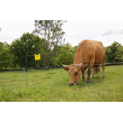 Fil de clôture PlatinumLine AKO Blanc / bleu Fil de clôture PlatinumLine AKO Blanc / bleu