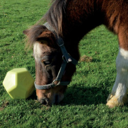 Jouet Drop Feeder La Gee Pistache Vert Jouet Drop Feeder La Gee Pistache Vert