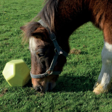 Speelgoed Drop Feeder La Gee Speelgoed Drop Feeder La Gee