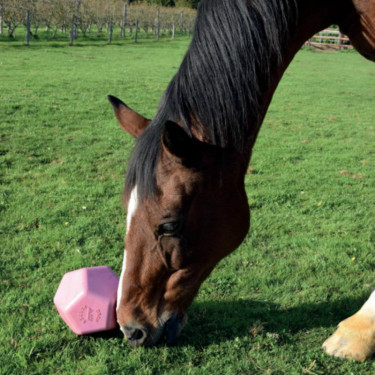 Speelgoed Drop Feeder La Gee Speelgoed Drop Feeder La Gee