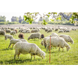 Filet à moutons AKO Filet à moutons AKO