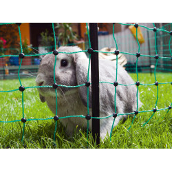 Filet pour lapins AKO Vert Filet pour lapins AKO Vert