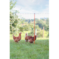 Filet volaille AKO Orange Filet volaille AKO Orange