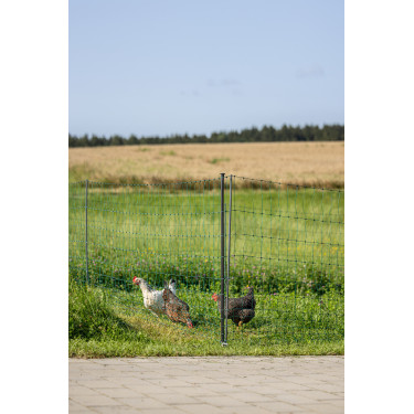 Premium gevogelte-net AKO Groen Premium gevogelte-net AKO Groen