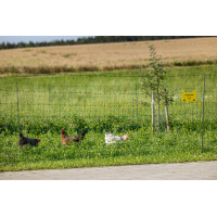 Filet volaille Premium AKO Vert Filet volaille Premium AKO Vert