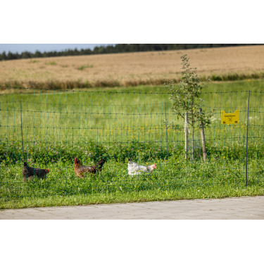 Premium gevogelte-net AKO Groen Premium gevogelte-net AKO Groen
