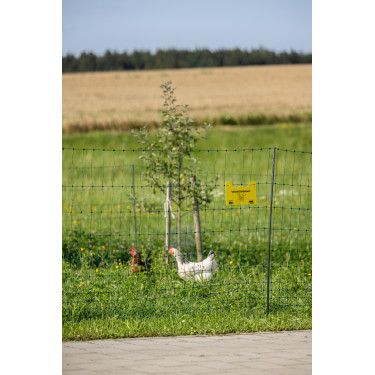 Premium gevogelte-net AKO Groen Premium gevogelte-net AKO Groen