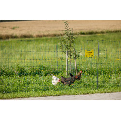 Premium gevogelte-net AKO Groen Premium gevogelte-net AKO Groen