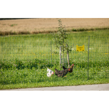 Premium gevogelte-net AKO Groen Premium gevogelte-net AKO Groen