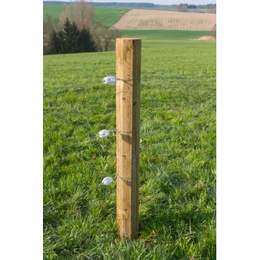 Isolateur type œuf en polyamide pour fil d'acier AKO Isolateur type œuf en polyamide pour fil d'acier AKO