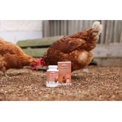 MineralPlus Kerbl Hobbyfarming MineralPlus Kerbl Hobbyfarming