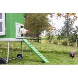 Mobiele kippenren Kerbl Hobbyfarming Groen / wit Mobiele kippenren Kerbl Hobbyfarming Groen / wit