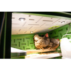 Mobiele kippenren Kerbl Hobbyfarming Groen / wit Mobiele kippenren Kerbl Hobbyfarming Groen / wit