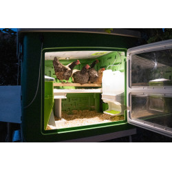 Mobiele kippenren Kerbl Hobbyfarming Groen / wit Mobiele kippenren Kerbl Hobbyfarming Groen / wit