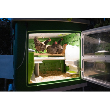 Mobiele kippenren Kerbl Hobbyfarming Groen / wit Mobiele kippenren Kerbl Hobbyfarming Groen / wit