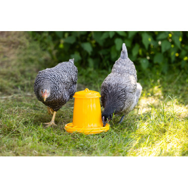 Nourrisseur poules poussin Kerbl Hobbyfarming Jaune Nourrisseur poules poussin Kerbl Hobbyfarming Jaune
