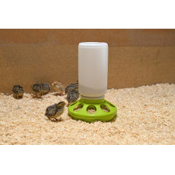 Nourrisseur pour cailles Kerbl Hobbyfarming Vert clair Nourrisseur pour cailles Kerbl Hobbyfarming Vert clair