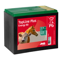 Pile zinc-carbone AKO