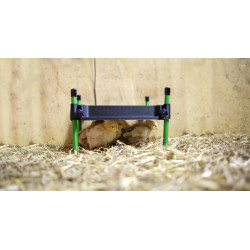 Warmteplaat voor kuikens CosyHeat Kerbl Hobbyfarming Zwart / groen