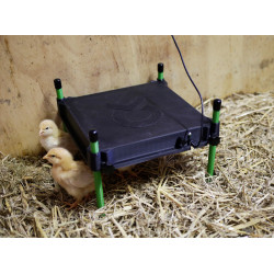 Plaque chauffante pour poussins CosyHeat Kerbl Hobbyfarming Noir / vert Plaque chauffante pour poussins CosyHeat Kerbl Hobbyfarming Noir / vert
