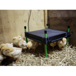Plaque chauffante pour poussins CosyHeat Kerbl Hobbyfarming Noir / vert Plaque chauffante pour poussins CosyHeat Kerbl Hobbyfarming Noir / vert
