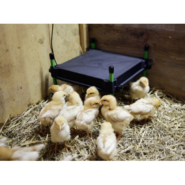 Plaque chauffante pour poussins CosyHeat Kerbl Hobbyfarming Plaque chauffante pour poussins CosyHeat Kerbl Hobbyfarming