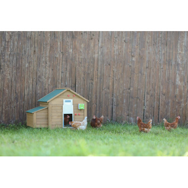 Porte automatique de poulailler Kerbl Hobbyfarming Porte automatique de poulailler Kerbl Hobbyfarming