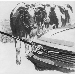 Elektrisch poortje Electro Gate AKO Zwart