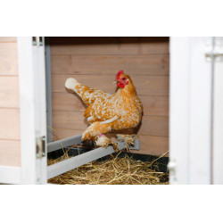 Poulailler Bonny Kerbl Hobbyfarming