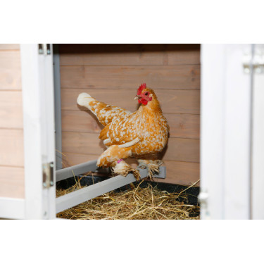 Poulailler Bonny Kerbl Hobbyfarming