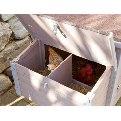 Kippenhok Emma Kerbl Hobbyfarming Natuurlijk Bruin Kippenhok Emma Kerbl Hobbyfarming Natuurlijk Bruin