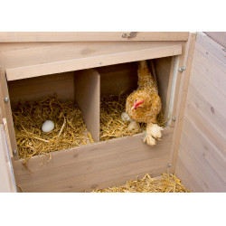 Kippenhok Emma Kerbl Hobbyfarming Natuurlijk Bruin Kippenhok Emma Kerbl Hobbyfarming Natuurlijk Bruin