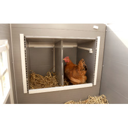 Poulailler en plastique ECO Barney Kerbl Hobbyfarming Poulailler en plastique ECO Barney Kerbl Hobbyfarming